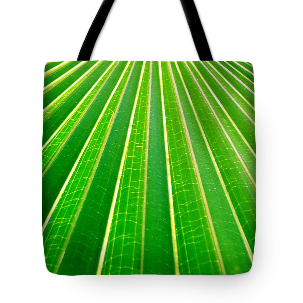Nature Tote Bag featuring the photograph Reaching Out by Holly Kempe