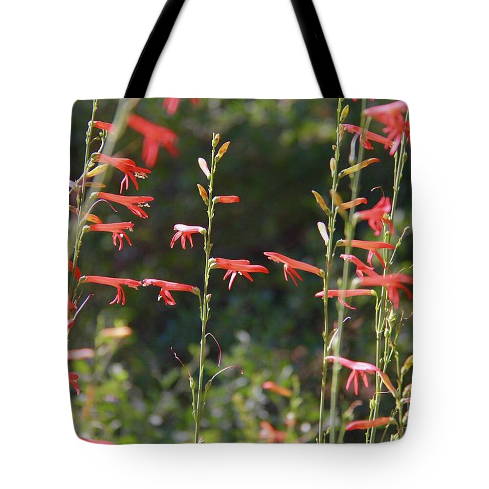 Red Tote Bag featuring the photograph Reaching Tranquility by Suzanne Oesterling