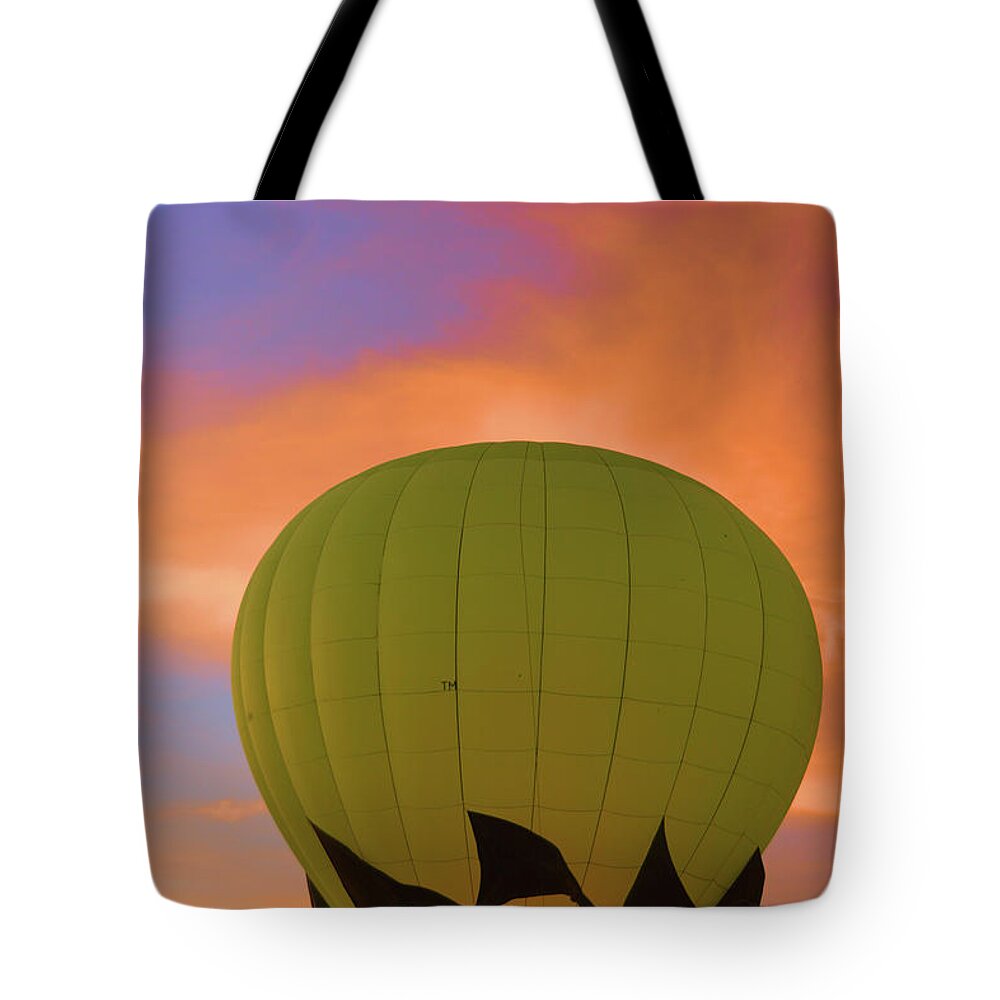 Nature Tote Bag featuring the photograph Ready For Flight by Nancy Jenkins