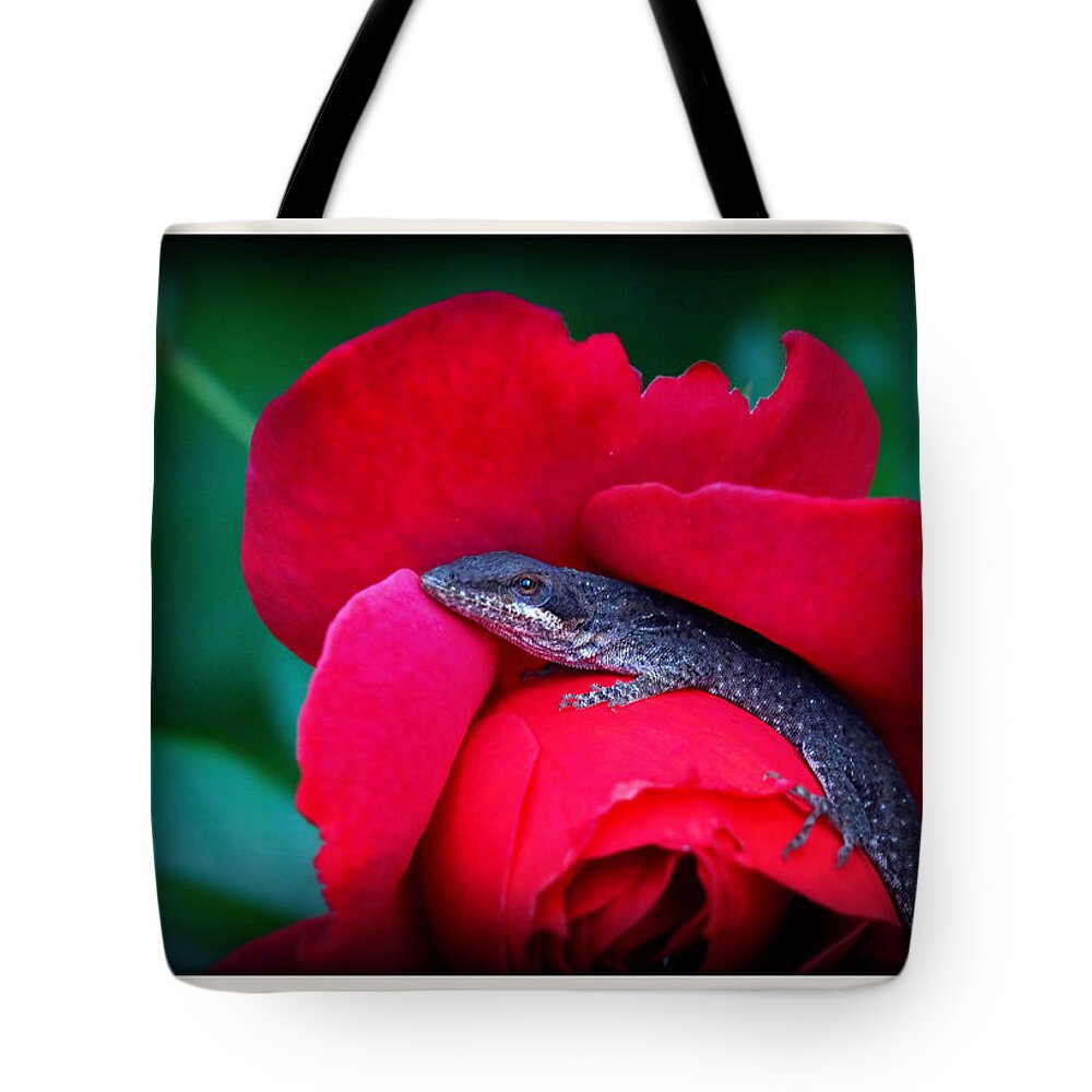 Lizard Tote Bag featuring the photograph Ready for Romance by Farol Tomson
