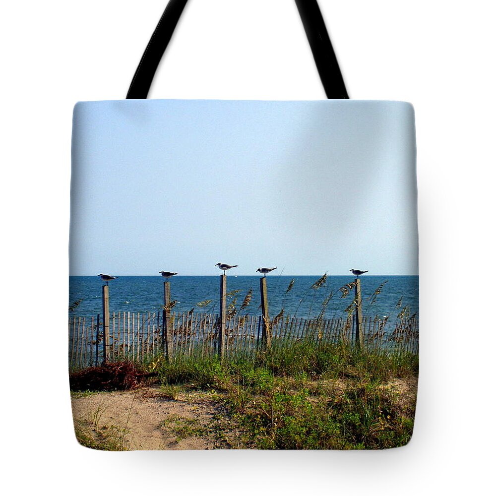Birds Tote Bag featuring the photograph Ready for Take-Off by Deborah Crew-Johnson