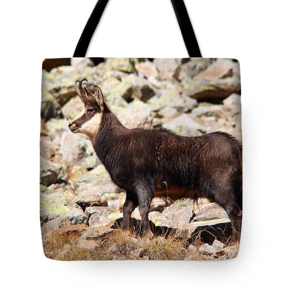 Chamois Tote Bag featuring the photograph Ready for the Challenge by Richard Patmore