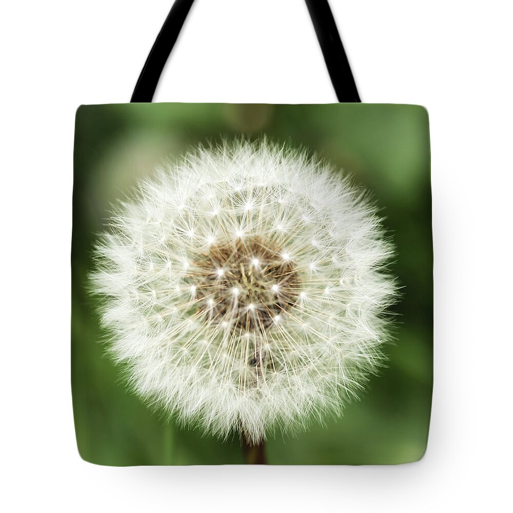 Flower Tote Bag featuring the photograph Ready for Wishes by Nick Bywater