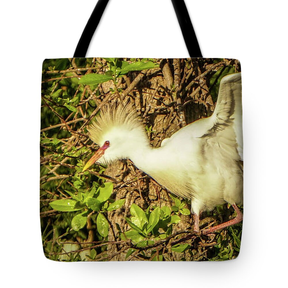 Florida Tote Bag featuring the photograph Ready to fly by Jane Luxton