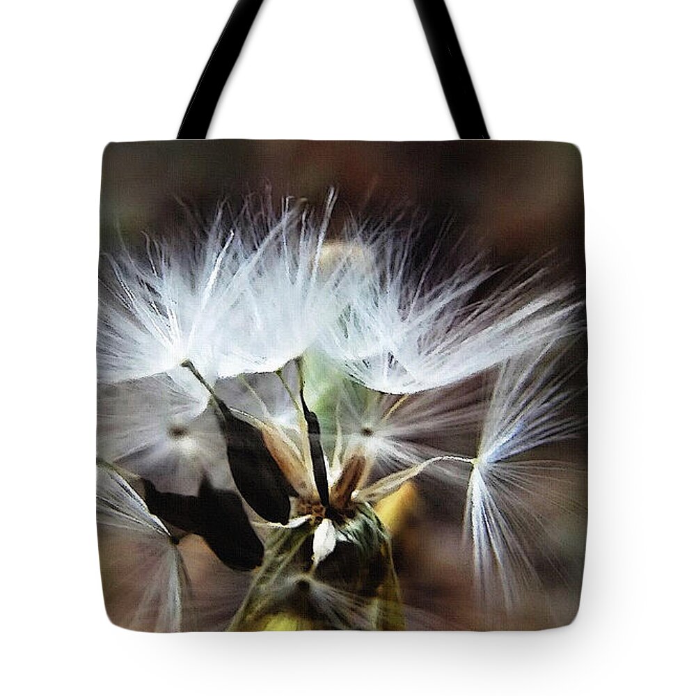 Puff Ball Tote Bag featuring the mixed media Ready to Fly... Salsify Seeds by Shelli Fitzpatrick