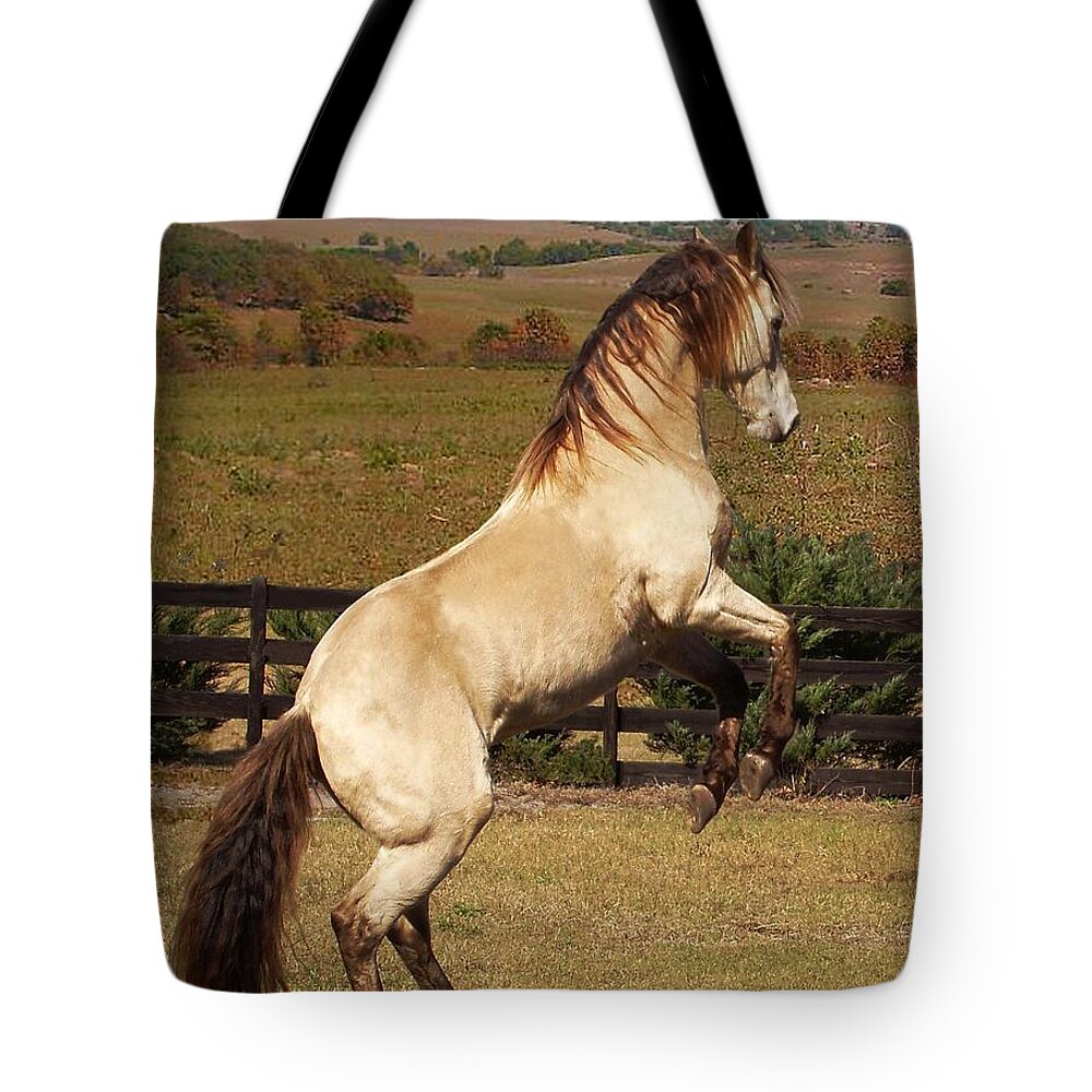 Horse Tote Bag featuring the photograph Wild At Heart by Barbie Batson
