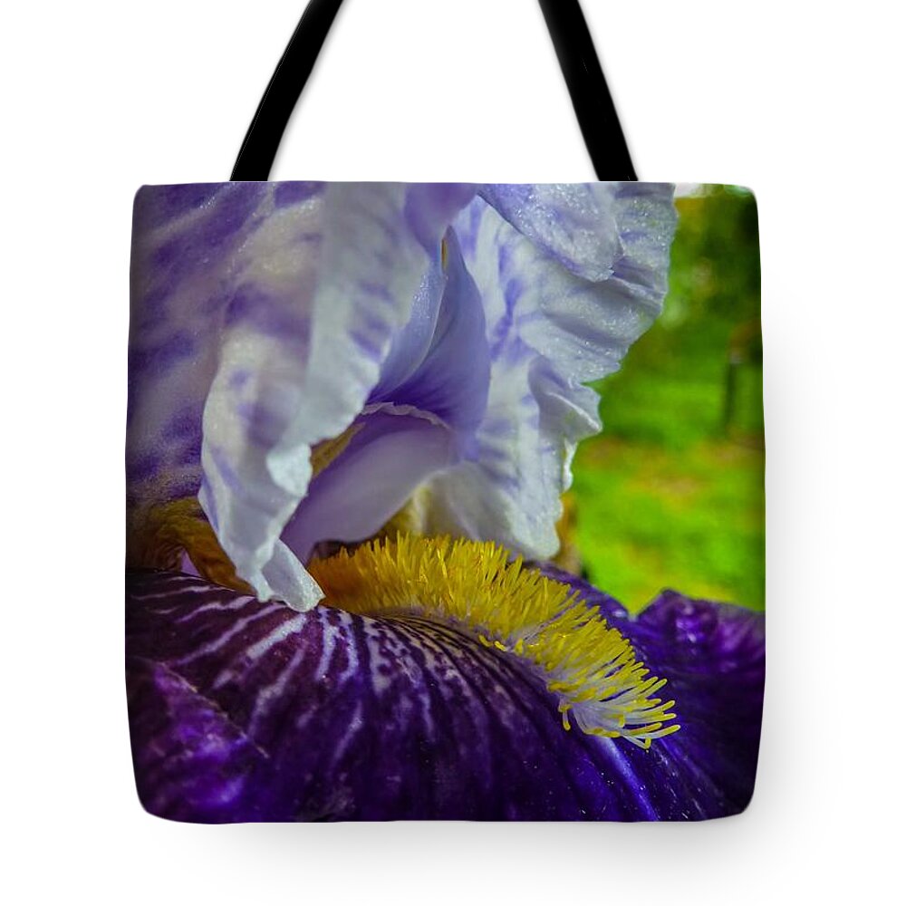 Beautiful Tote Bag featuring the photograph Recollection Spring 4 by Jean Bernard Roussilhe