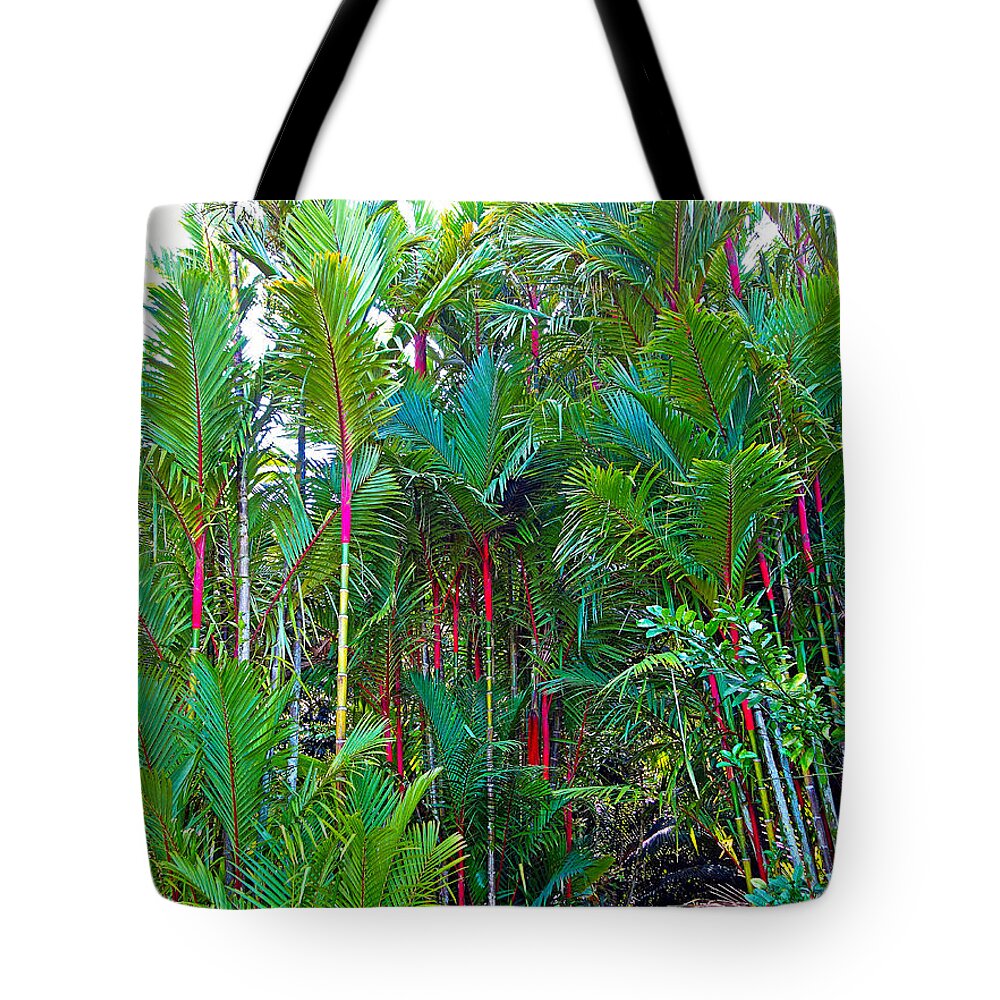 Red Tote Bag featuring the photograph Red Bamboo H by Robert Meyers-Lussier