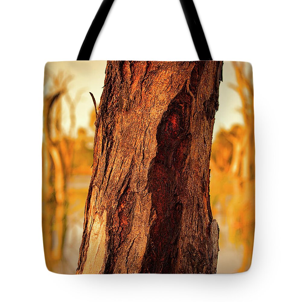 Tree Tote Bag featuring the photograph Red Bark by Douglas Barnard