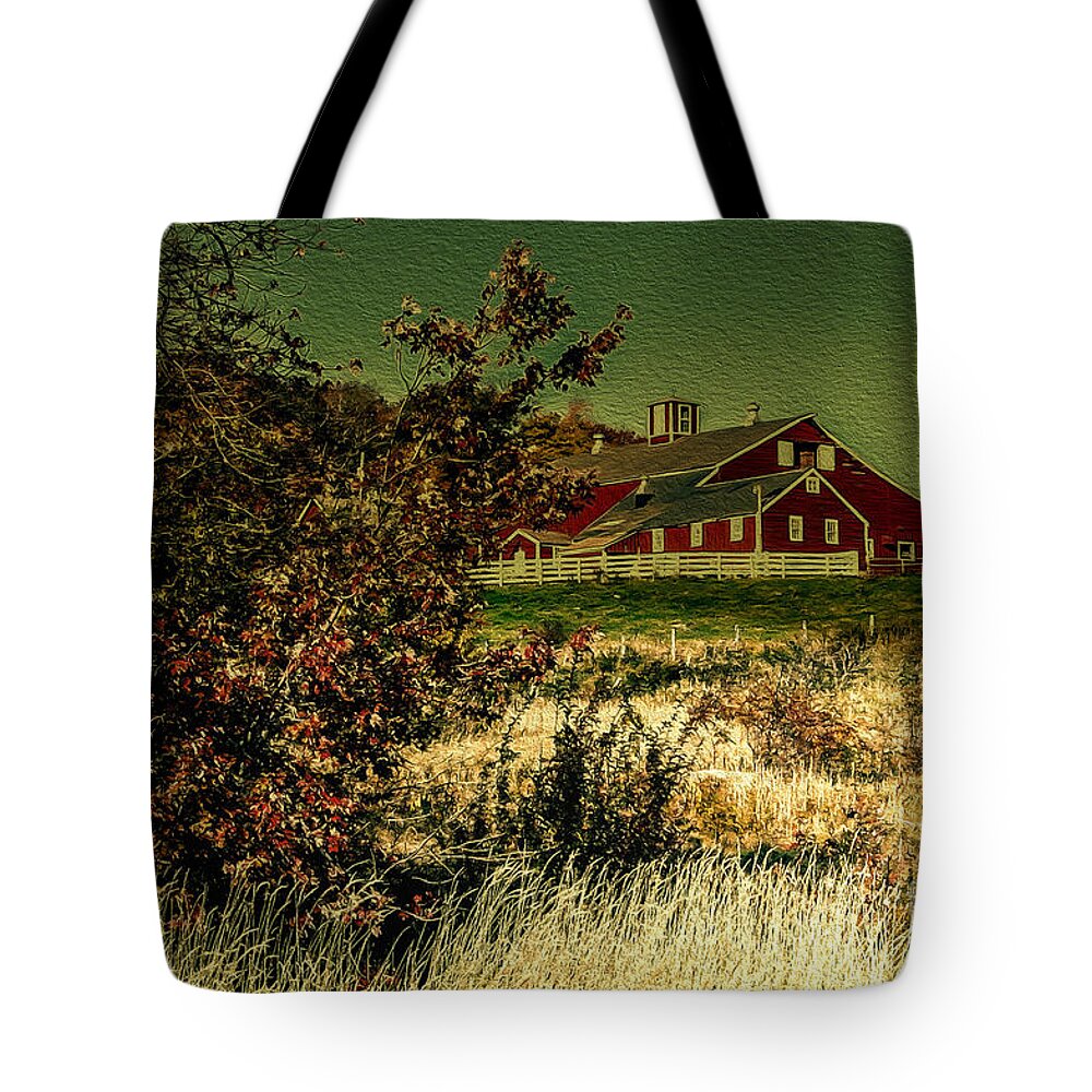 Rural Tote Bag featuring the photograph Red Barn by Mim White