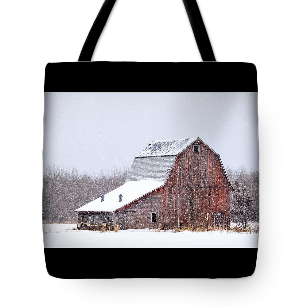 Snow Tote Bag featuring the photograph Red Beauty in Snow by Lori Dobbs