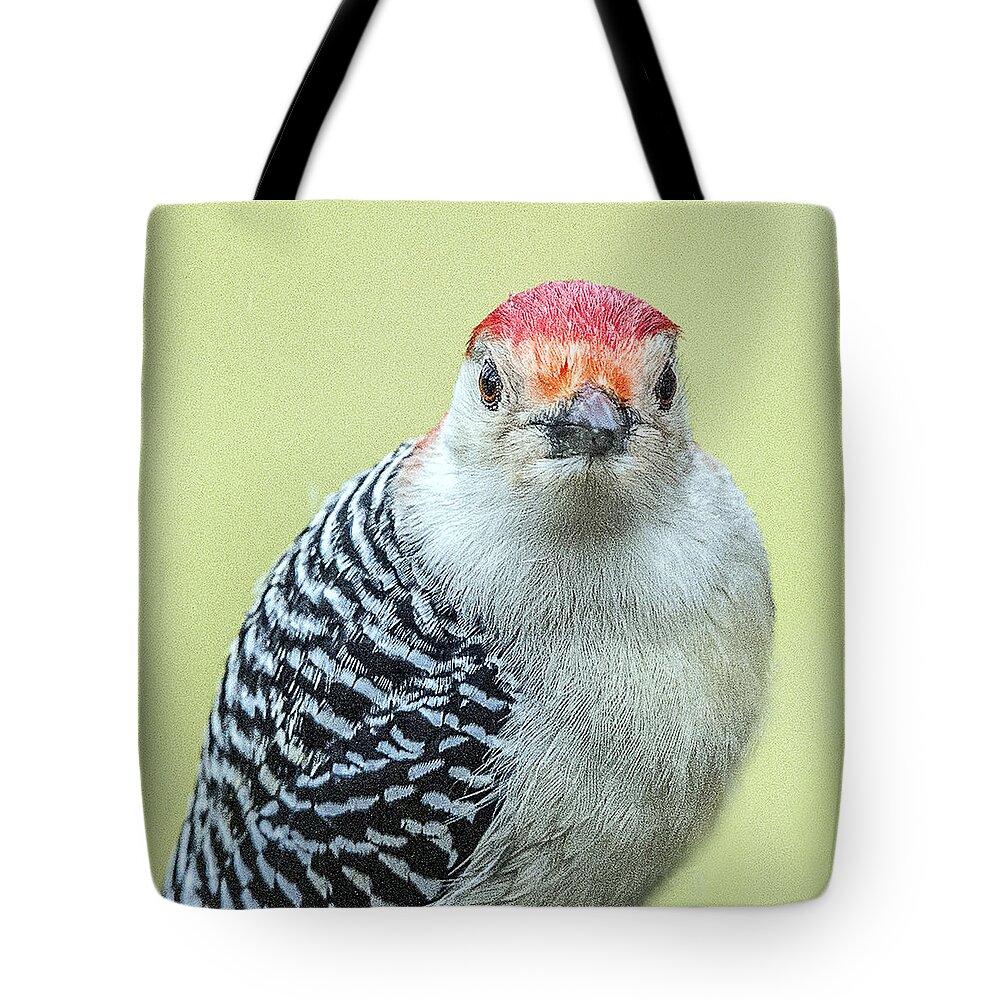 Red Bellied Woodpecker Tote Bag featuring the photograph Red Bellied Woodpecker Portrait by William Bitman