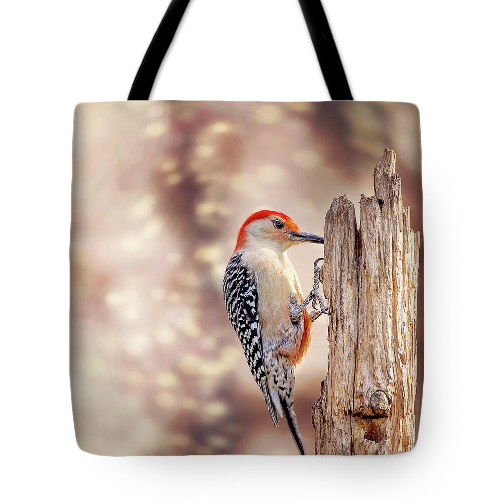 Red-bellied Woodpecker Tote Bag featuring the photograph Red Belly Soft Bokeh by Bill and Linda Tiepelman