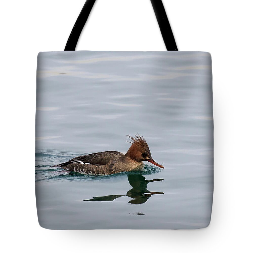 Gary Hall Tote Bag featuring the photograph Red-breasted Merganser Female by Gary Hall