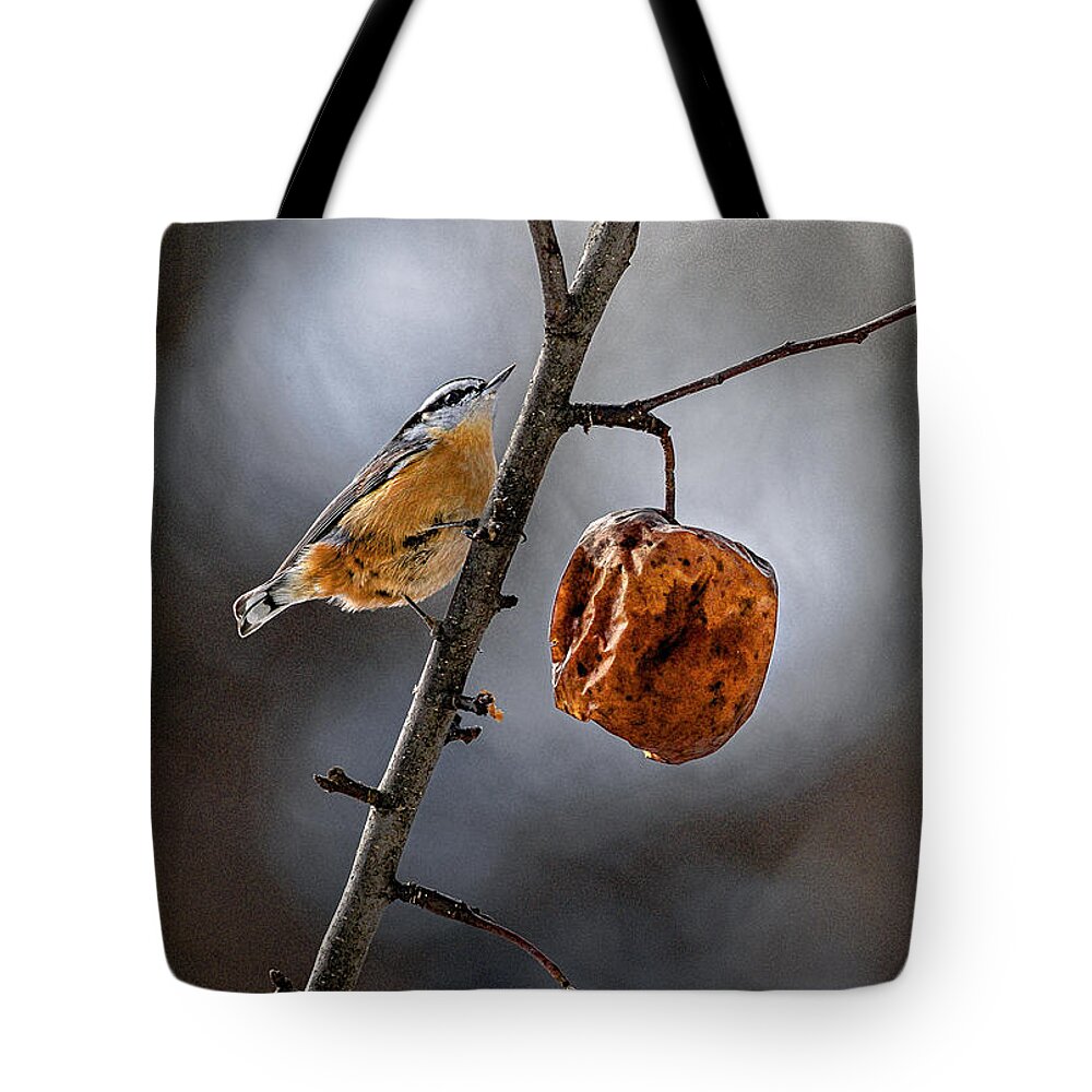 Red Breasted Nuthatch Tote Bag featuring the photograph Red Breasted Nuthatch by Marty Saccone