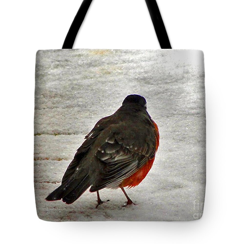 Robin Tote Bag featuring the photograph Red Breasted Robin by Mafalda Cento