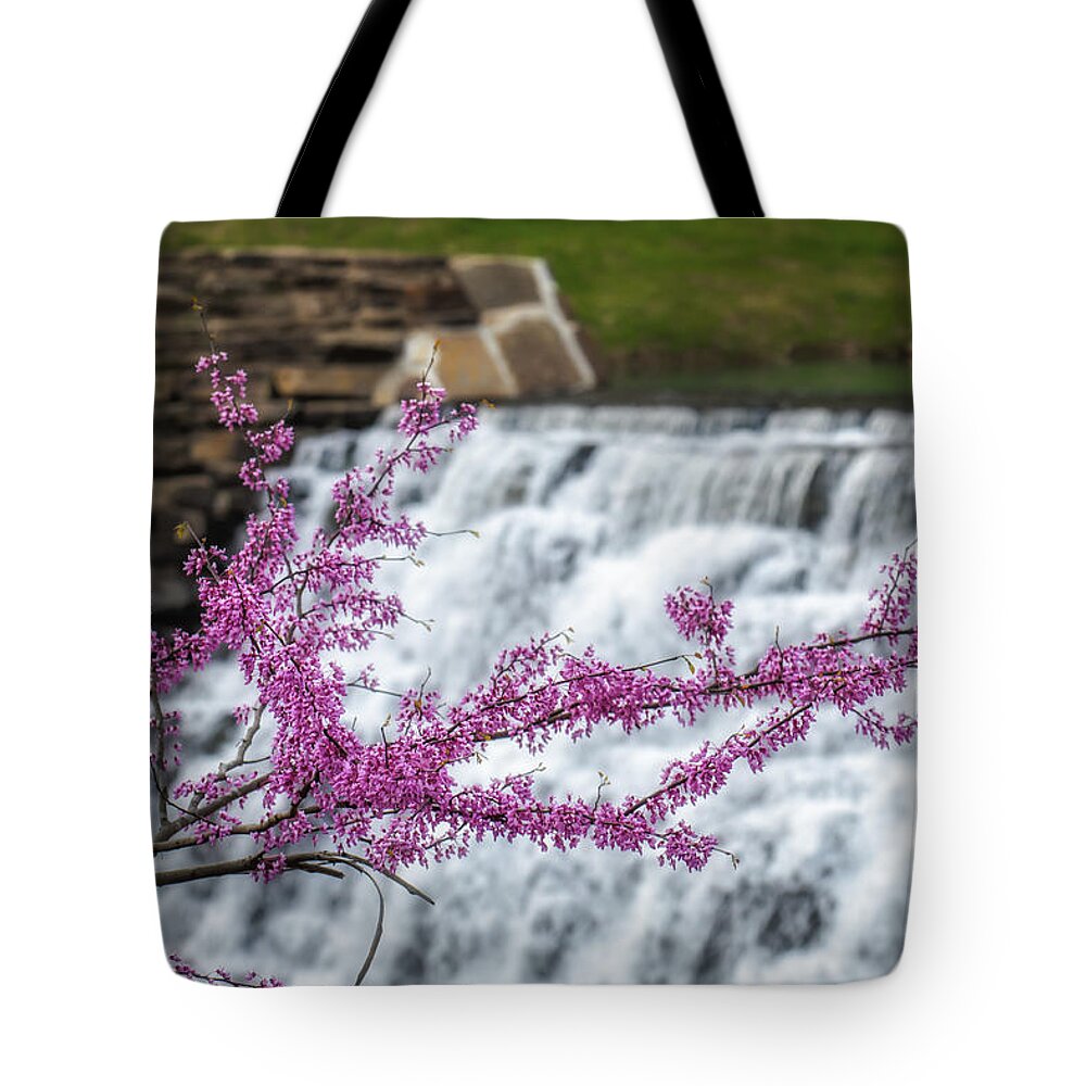 Cercis Canadensi Tote Bag featuring the photograph RedBud at Devils Den by James Barber
