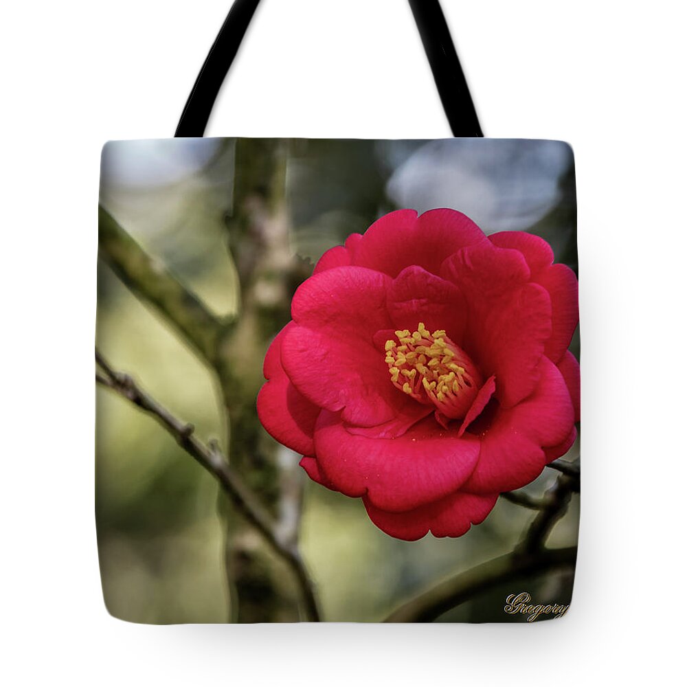 Ul Tote Bag featuring the photograph Red Camelia 05 by Gregory Daley MPSA