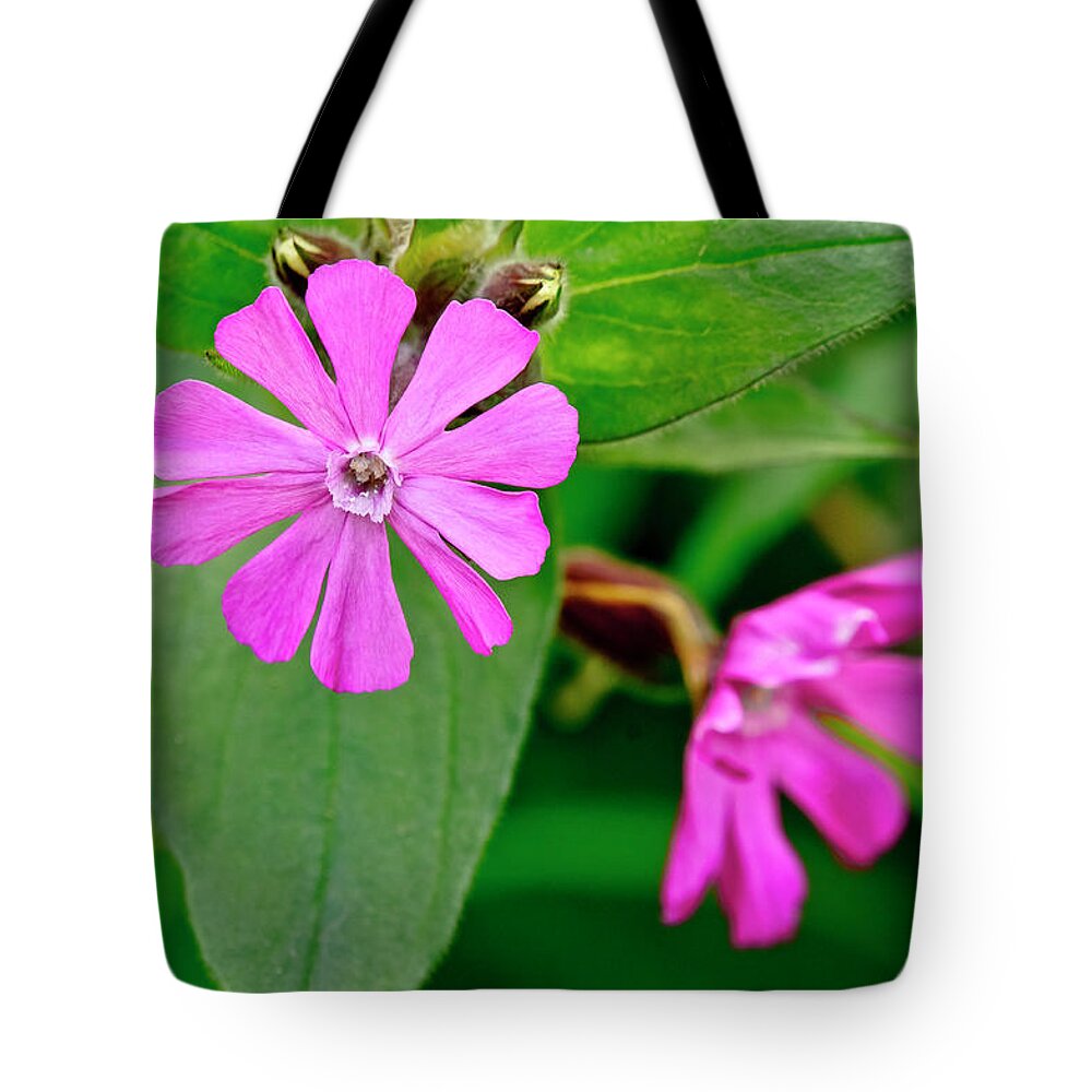 Pinky-red Tote Bag featuring the photograph Red Campion - Fairy flower. by Elena Perelman