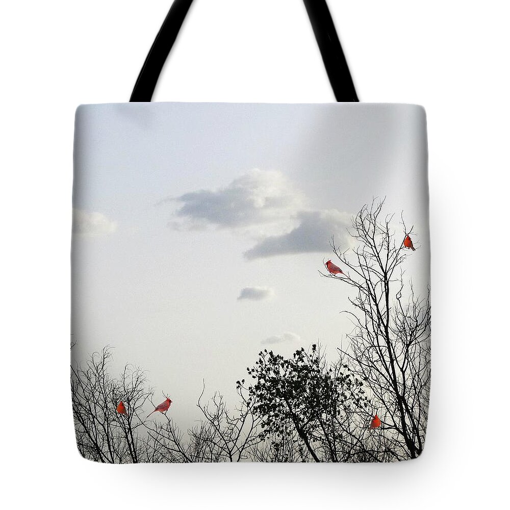 Red Cardinals Tote Bag featuring the photograph Red Cardinals by Marianna Mills