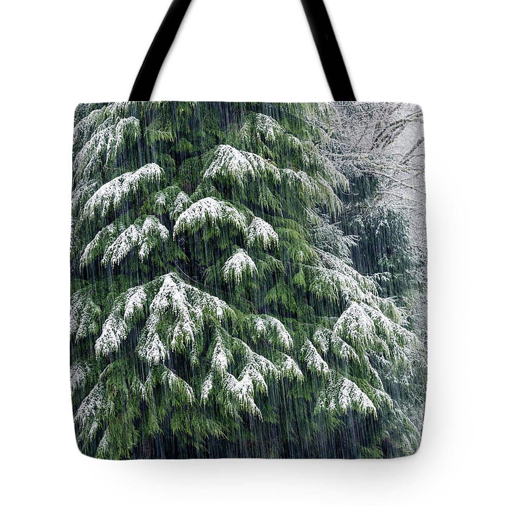 Astoria Tote Bag featuring the photograph Red Cedar and Snow by Robert Potts