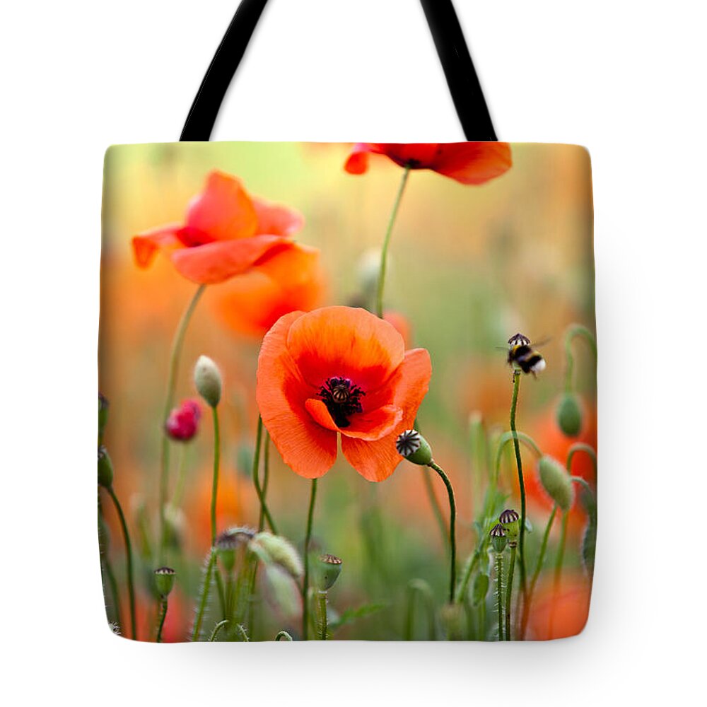 Poppy Tote Bag featuring the photograph Red Corn Poppy Flowers 06 by Nailia Schwarz