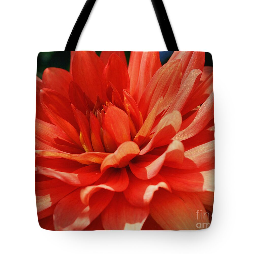Flower Tote Bag featuring the photograph Red Dahlia Petals by Smilin Eyes Treasures