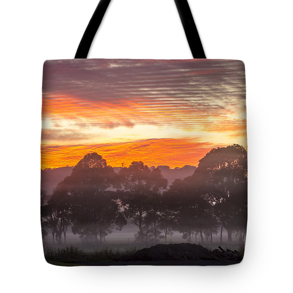 Dawn Tote Bag featuring the photograph Red dawn at Berry by Sheila Smart Fine Art Photography