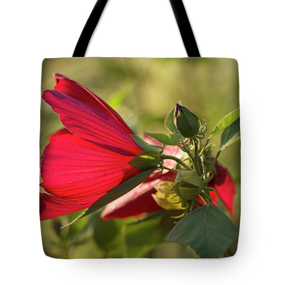 Red Tote Bag featuring the photograph Red by Deborah Ritch