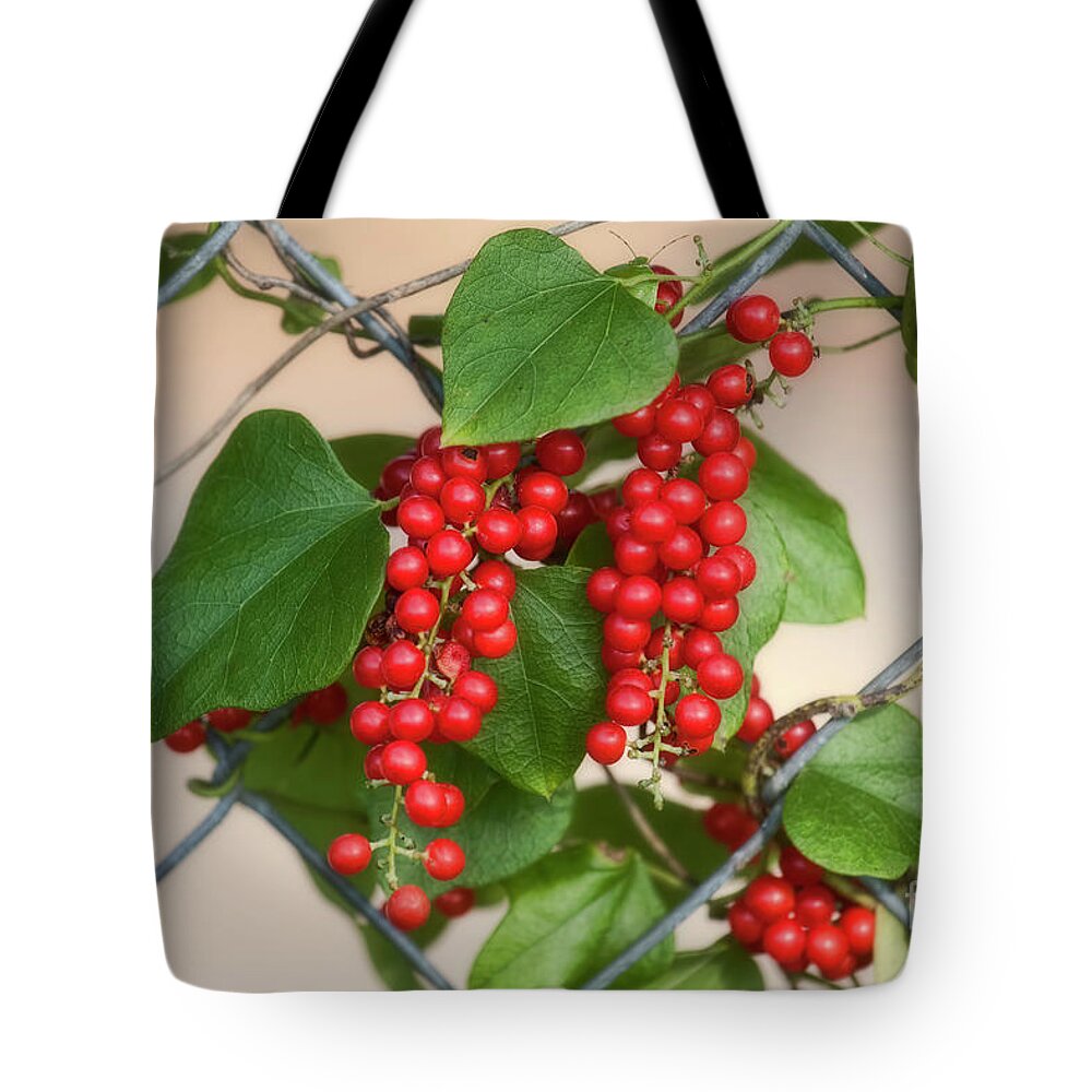 Berries Tote Bag featuring the photograph Red Delight by Joan Bertucci
