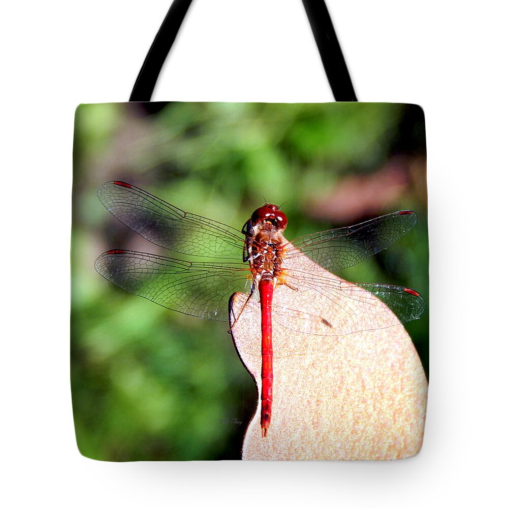 Dragonfly Tote Bag featuring the photograph Red Dragonfly on Bronze Butterfly by Wild Thing