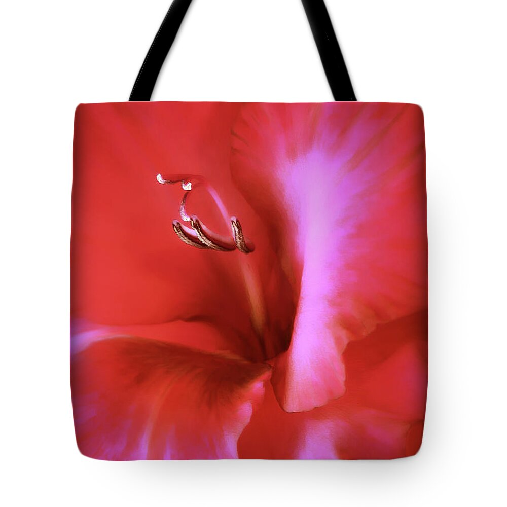 Gladiola Tote Bag featuring the photograph Red Dragon Gladiola Flower by Jennie Marie Schell