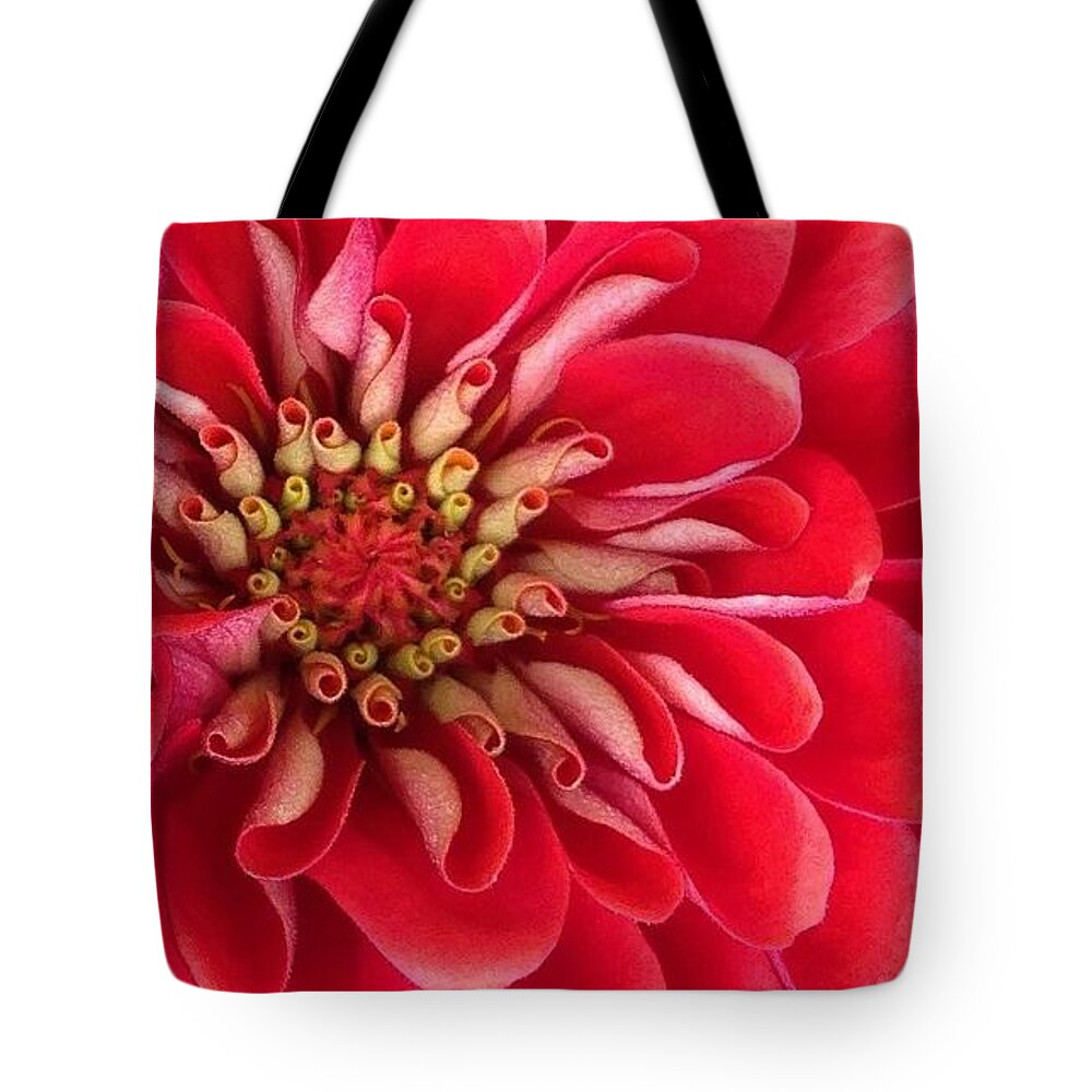 Flora Tote Bag featuring the photograph Red Explosion by Bruce Bley