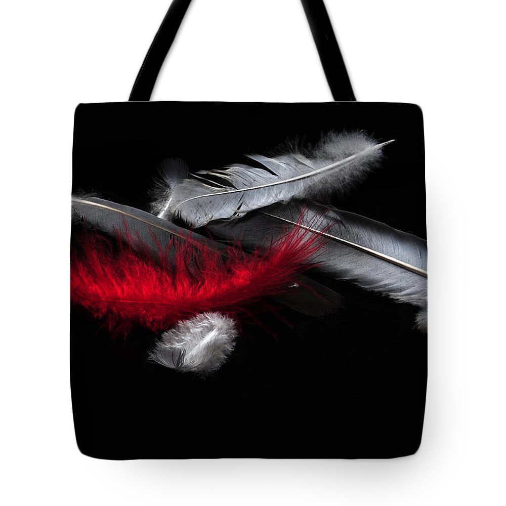 Red Feather Tote Bag featuring the photograph Red Feather by Randi Grace Nilsberg