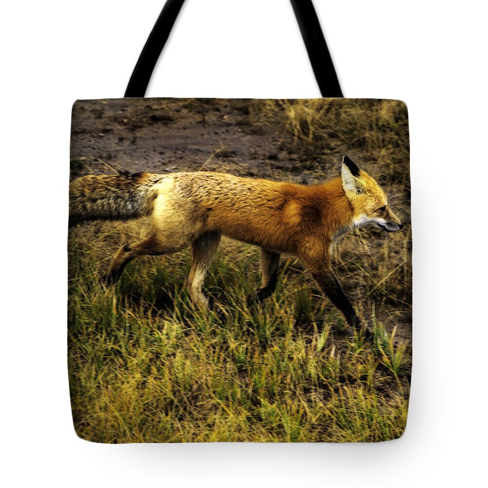 Landscape Tote Bag featuring the photograph Red Fox in Yellowstone by Craig J Satterlee