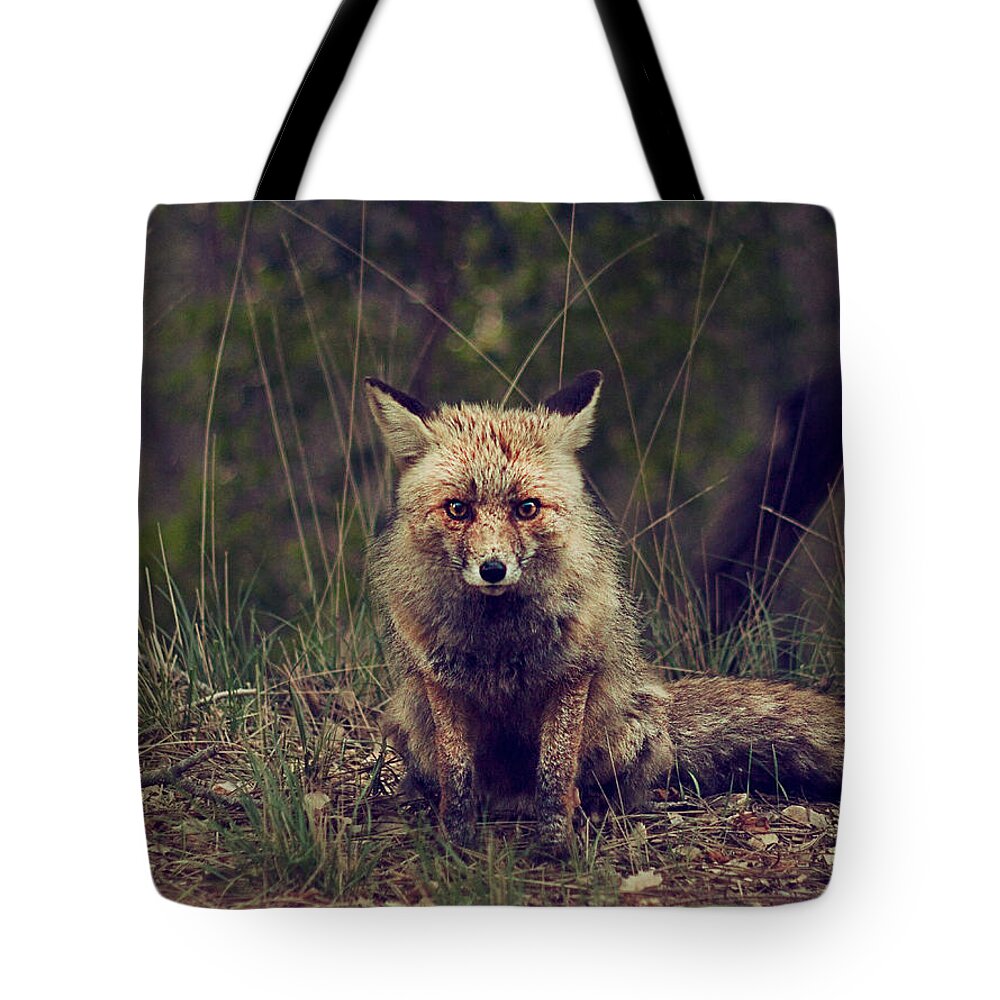 Red Tote Bag featuring the photograph Red Fox by Newwwman