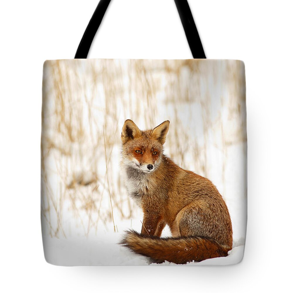 Fox Tote Bag featuring the photograph Red Fox Sitting in the Snow by Roeselien Raimond