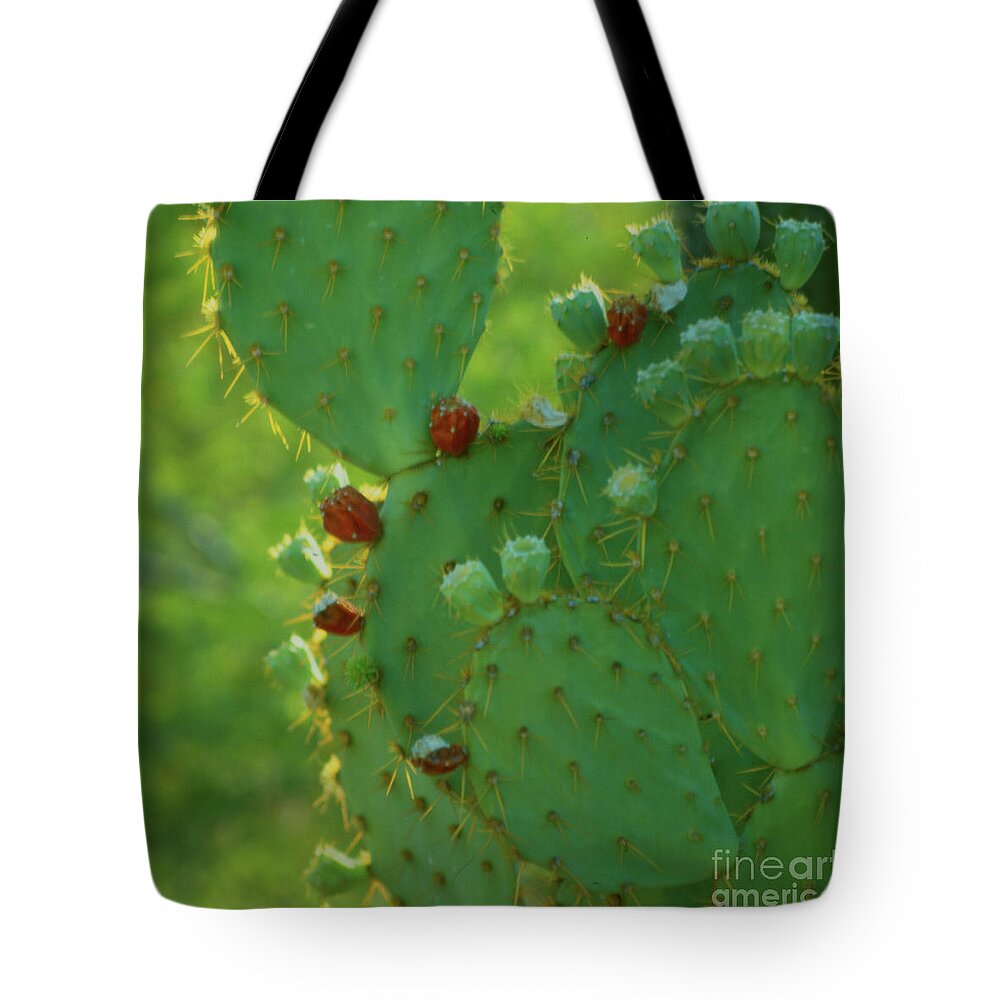  Tote Bag featuring the photograph Red Fruit Edged Prickly Pear by Heather Kirk