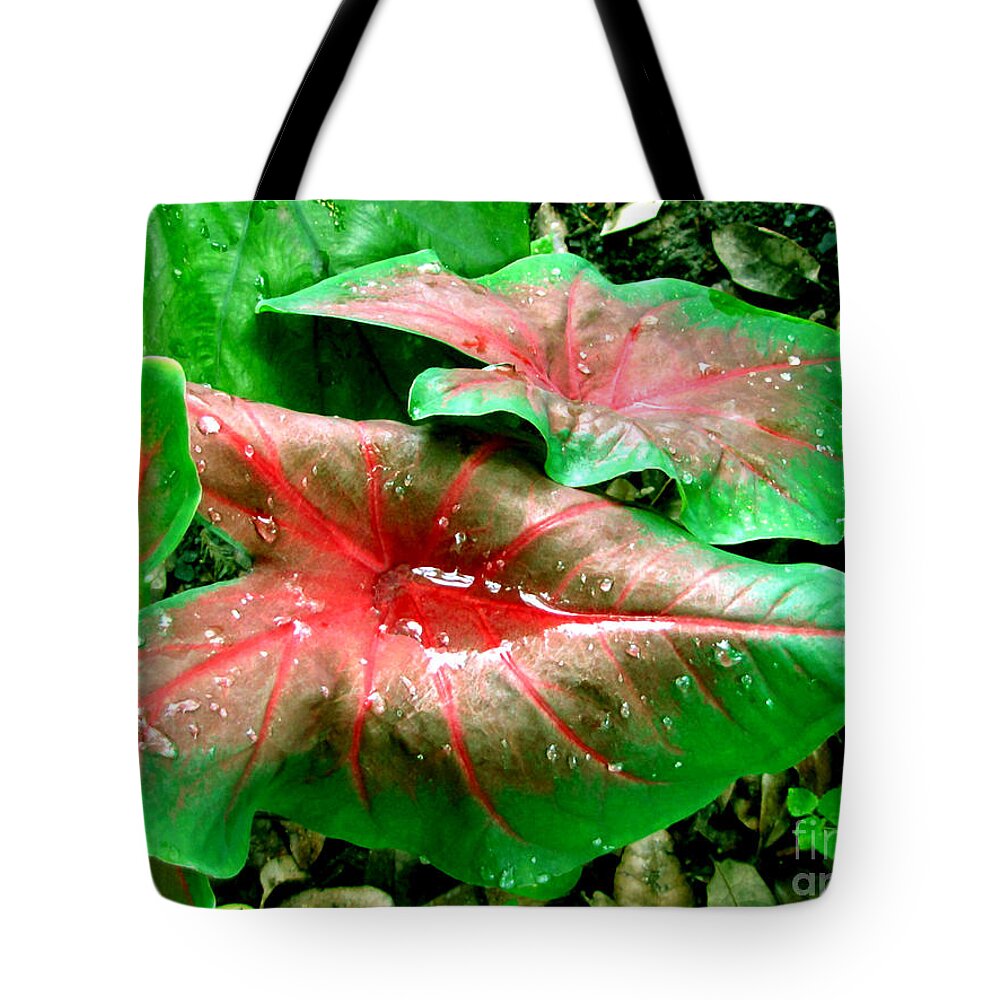  Botanical Tote Bag featuring the painting Red Green Caladium Floral Still Life Morning Rain by Mas Art Studio