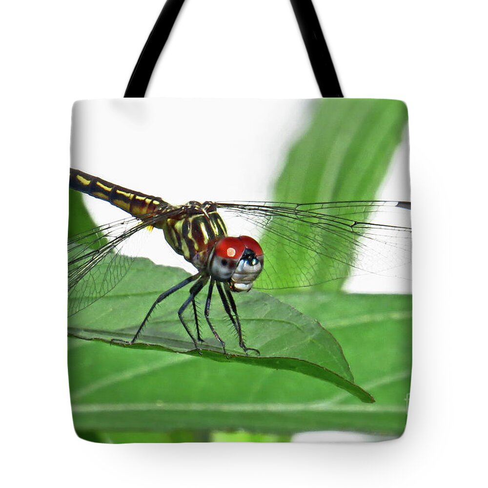 Dragonfly-dragonflies Tote Bag featuring the photograph Red Headed Stepchild by Scott Cameron
