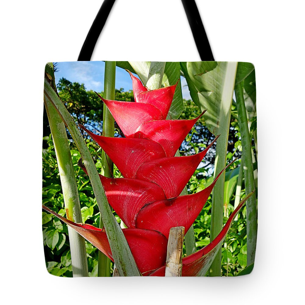 Giant Tote Bag featuring the photograph Red Heliconia by Robert Meyers-Lussier