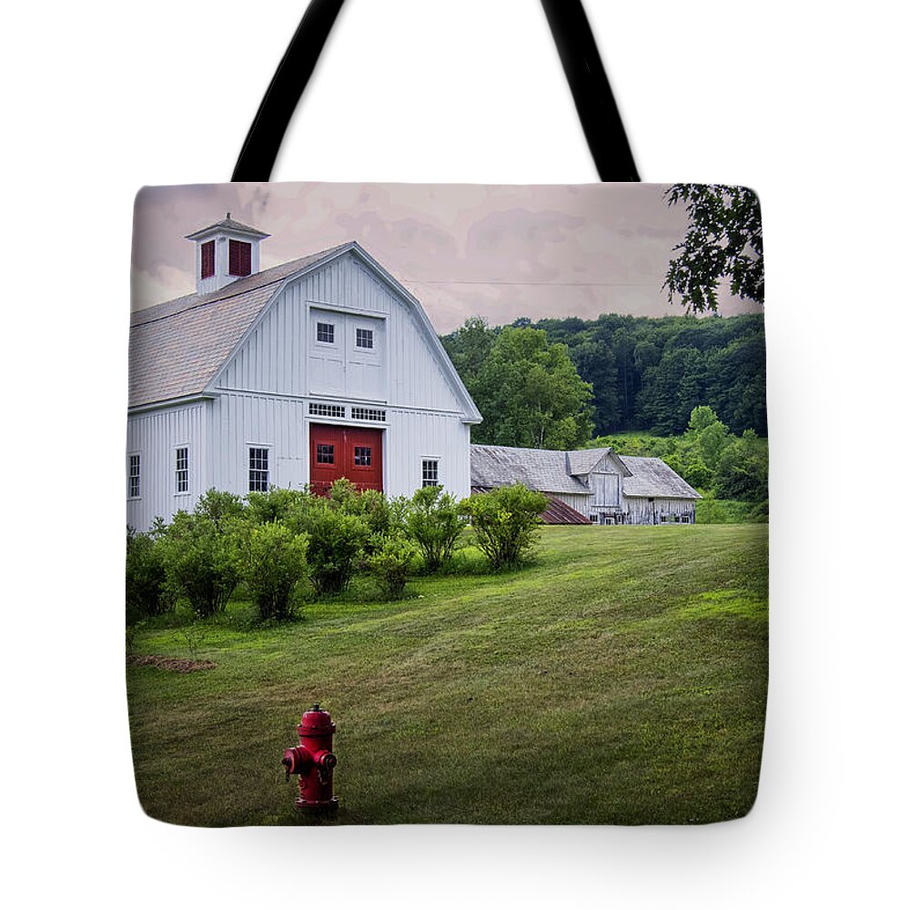 Scott Farm Vermont Tote Bag featuring the photograph Red Hydrant by Tom Singleton
