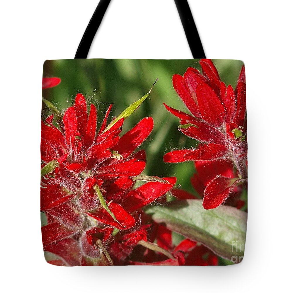 Red Tote Bag featuring the photograph Red Indian Paint Brush by Vivian Martin