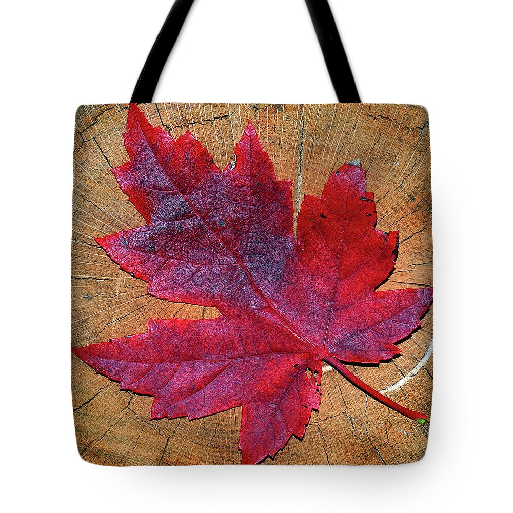 Red Tote Bag featuring the photograph Red Leaf on Stump by David T Wilkinson