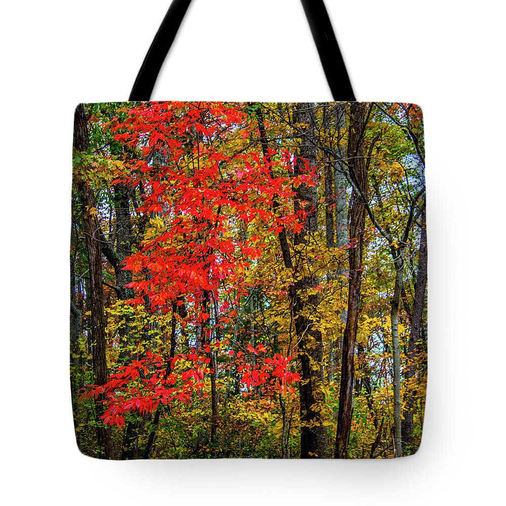 Tree Tote Bag featuring the photograph Red Leaves of Autumn by Roberta Bragan