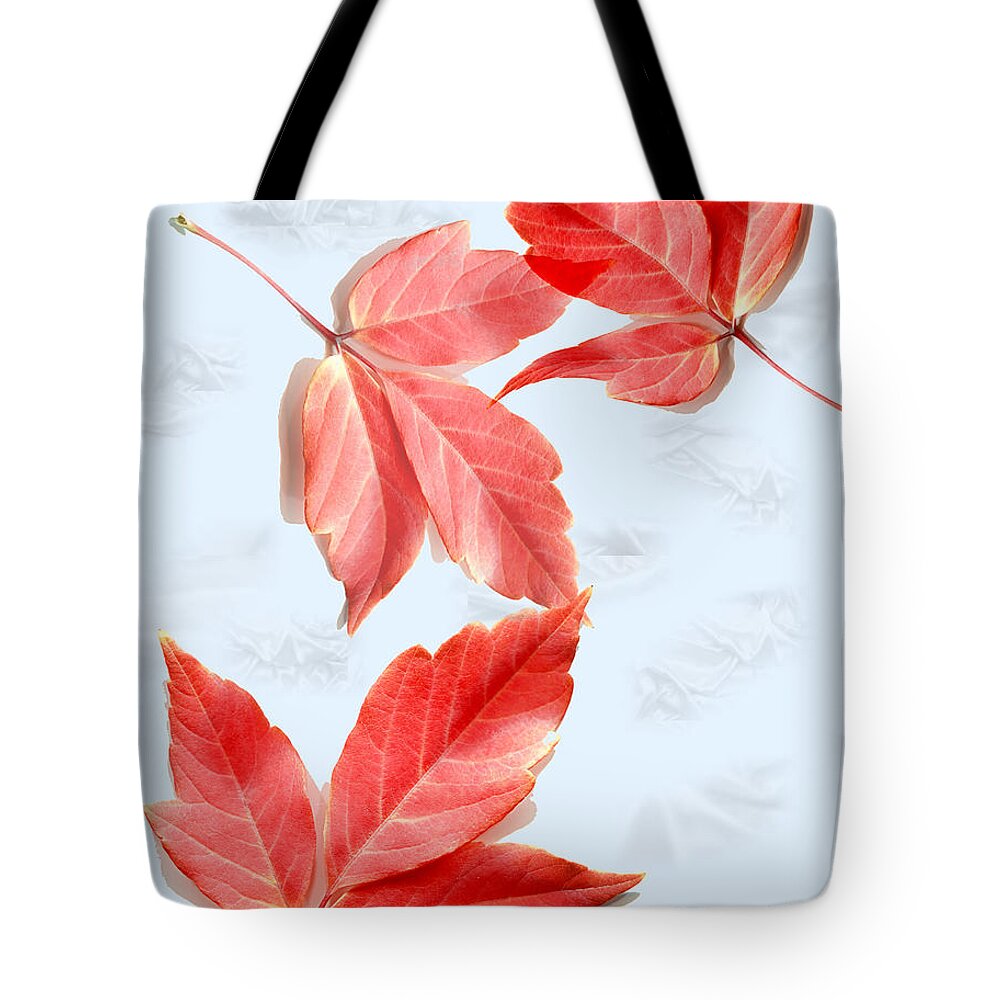 Red Leaves Tote Bag featuring the photograph Red Leaves on Blue texture by Kae Cheatham