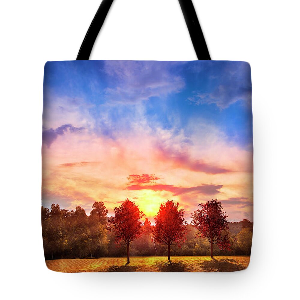 Appalachia Tote Bag featuring the photograph Red Maples at Sunset by Debra and Dave Vanderlaan