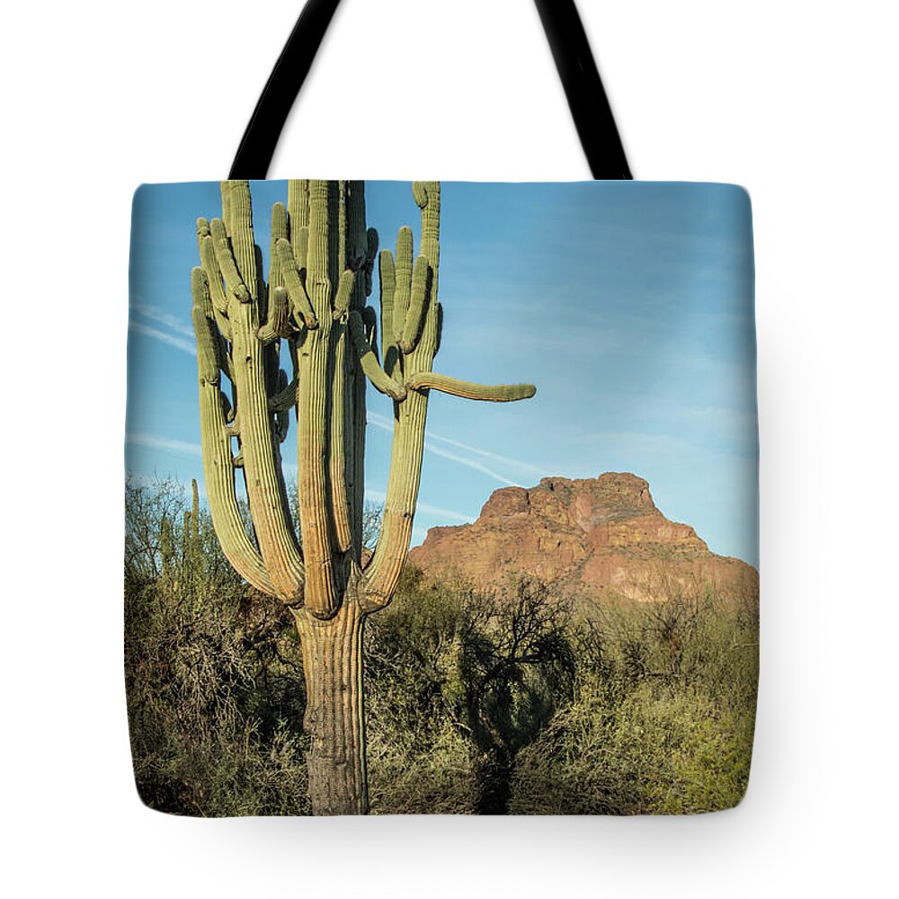 Red Tote Bag featuring the photograph Red Mountain and Saguaro Shadow 2439-032118-cr by Tam Ryan