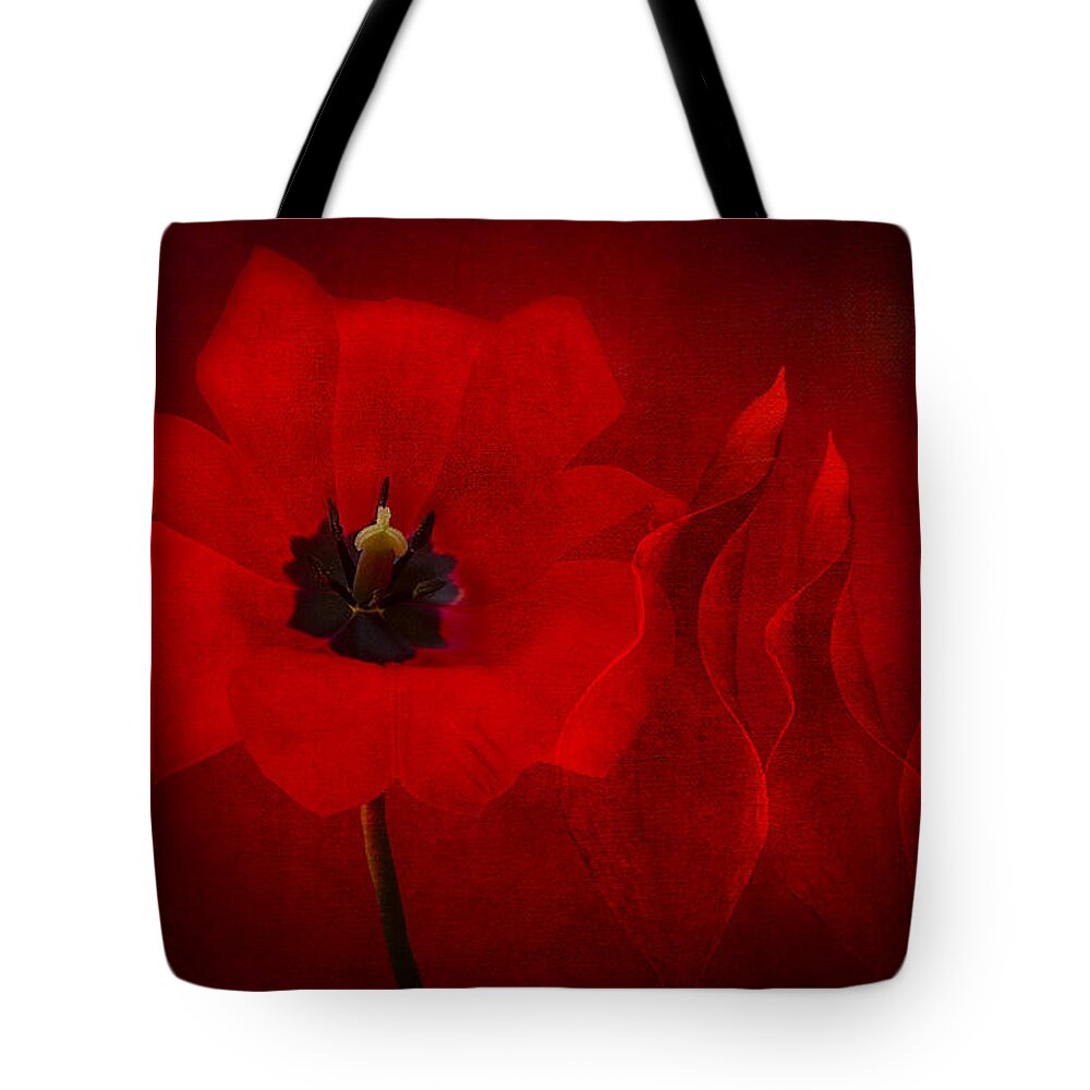 Red Tulip Tote Bag featuring the photograph Red Musical by Marina Kojukhova