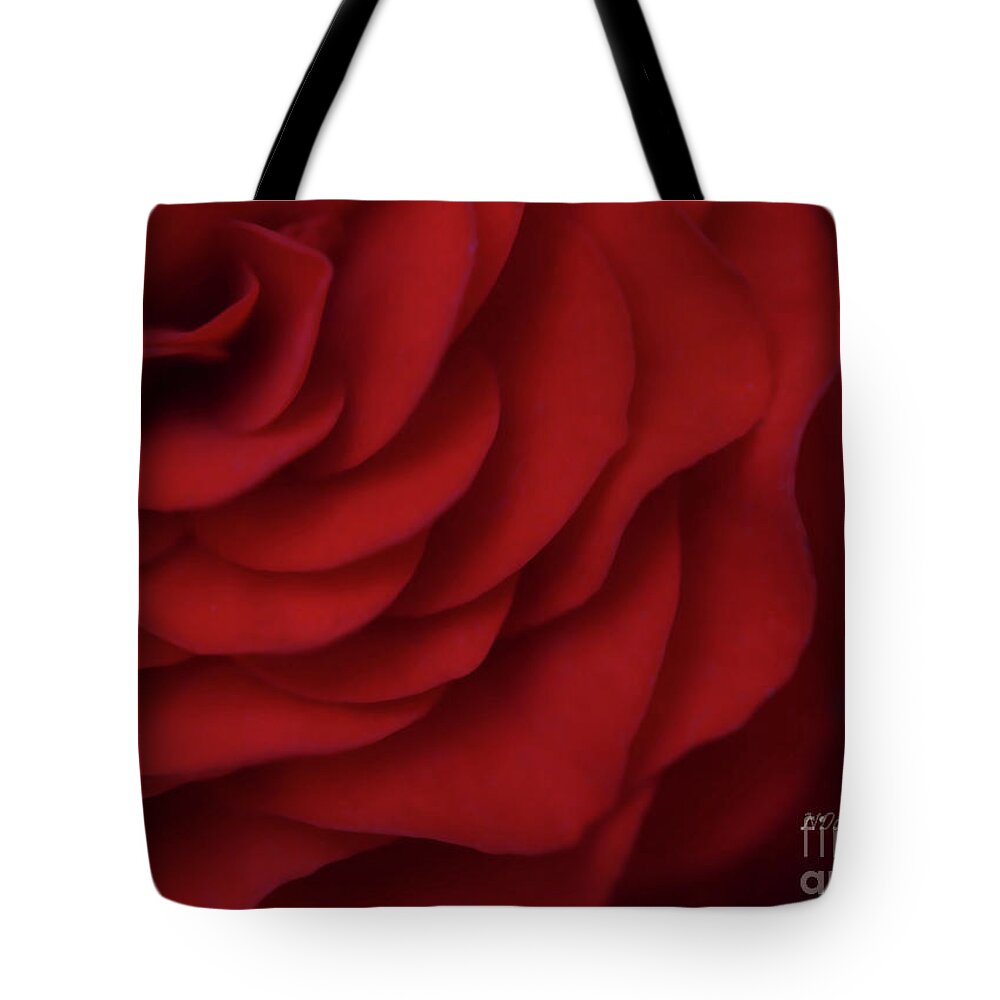 Red Tote Bag featuring the photograph Red by Natalie Dowty